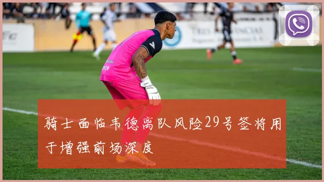 骑士面临韦德离队风险29号签将用于增强前场深度