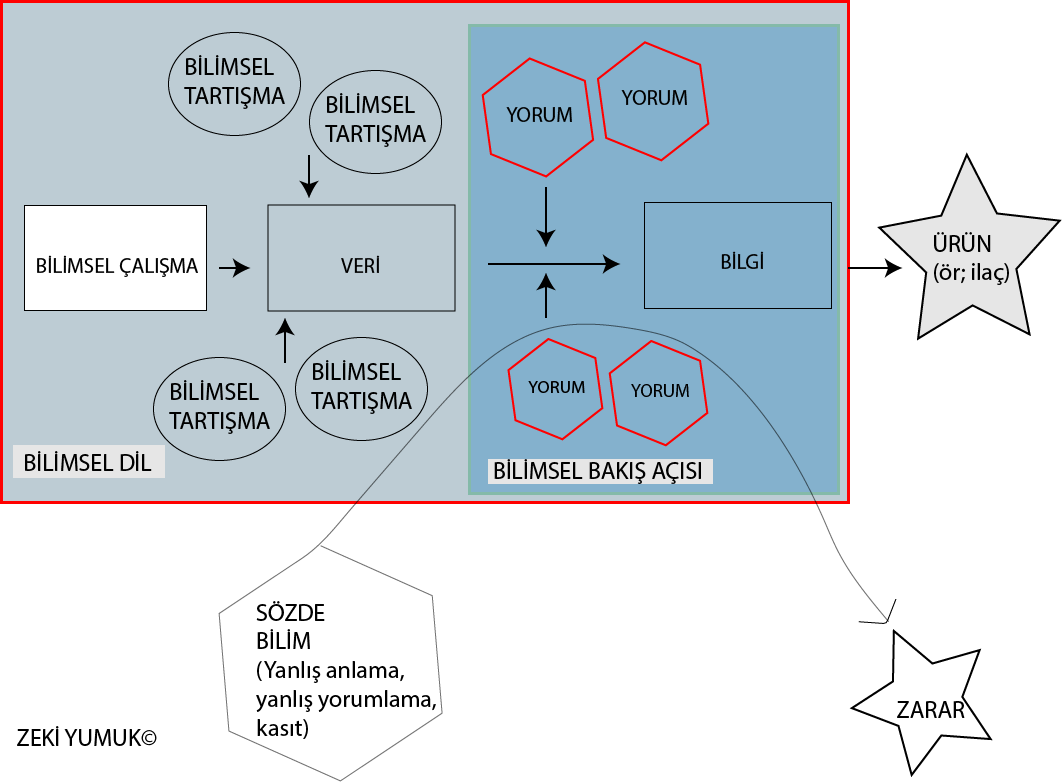 Bilimsel dilin kullanılması ve bilimsel bakış açısının geliştirilmesi